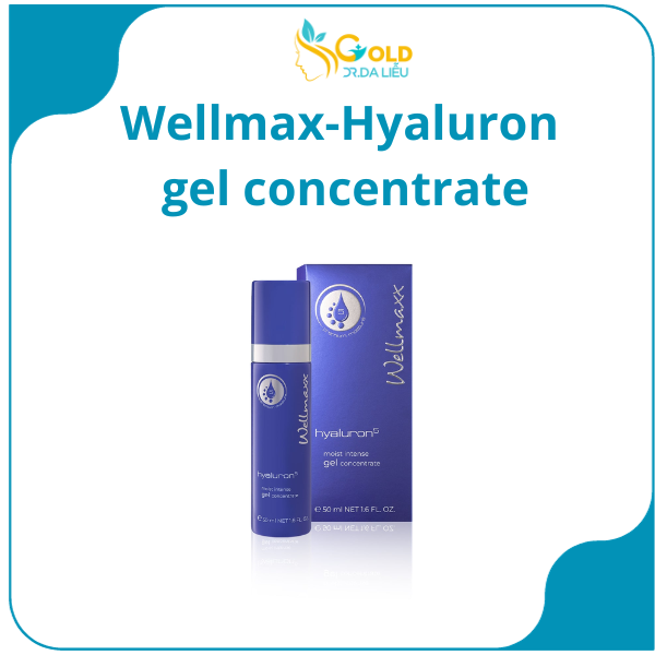 Wellmax-Hyaluron gel concentrate